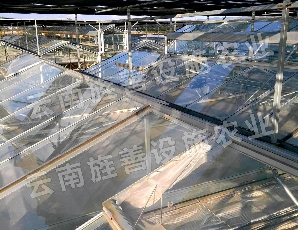 玻璃温室顶面-寻甸
